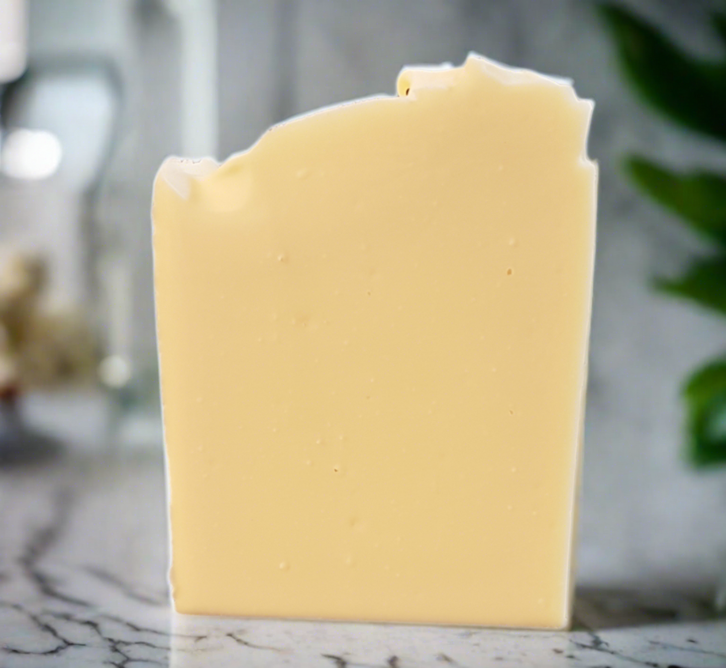 Simply Plain Soap