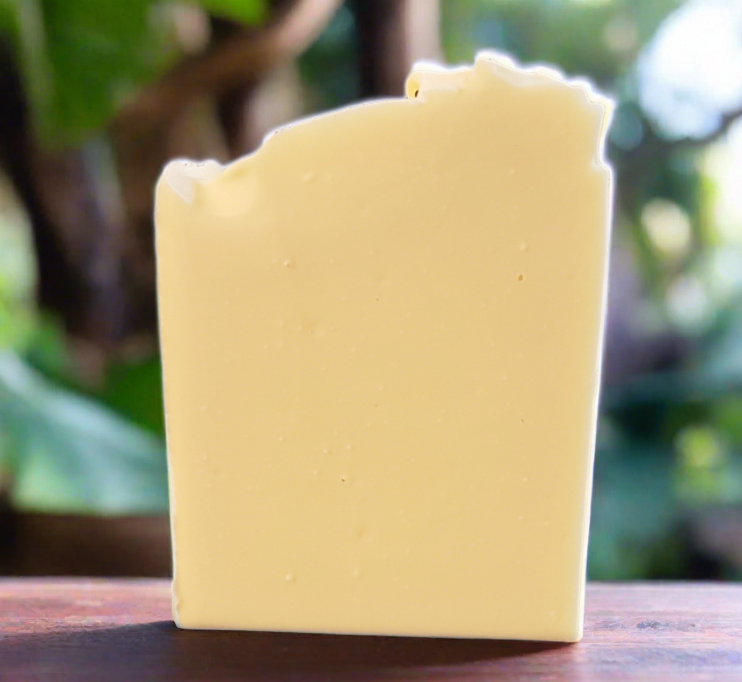 Simply Plain Soap